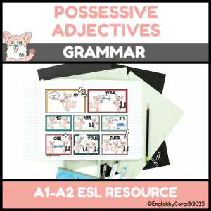 1 funny grammar lesson for possessive adjectives