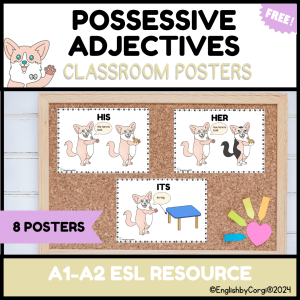 8 colorful classroom posters for possessive adjectives